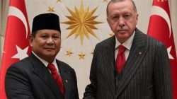 Bertemu Erdogan, Presiden Turki Bahas Kepentingan Ini dengan Prabowo