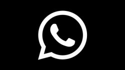 Semakin Dekat, Fitur Dark Mode Akan Ada di WhatsApp
