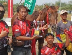 Tak Dilirik Pemerintah, Kuda Pacu Aipda Rasyad Wakili Jeneponto di Piala Presiden