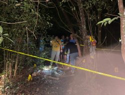 Penemuan Mayat Laki-laki di Kebun Warga Air Hitam Pali Gegerkan Masyarakat, Korban Diduga Dibunuh
