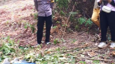 Seorang Kakek 62 Tahun di Kotabaru Ditemukan Meninggal di Kebun Miliknya Sendiri