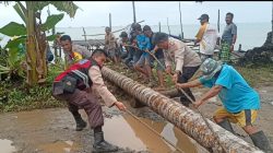 Gerak Cepat, Polsek Pulau Laut Barat Bersama Warga Bersihkan Pohon Tumbang Diterjang Angin Kencang