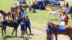 Kontes Kuda Lokal ‘Jarang Patta’ba’ Semarakkan Hari Jadi Jeneponto ke-161